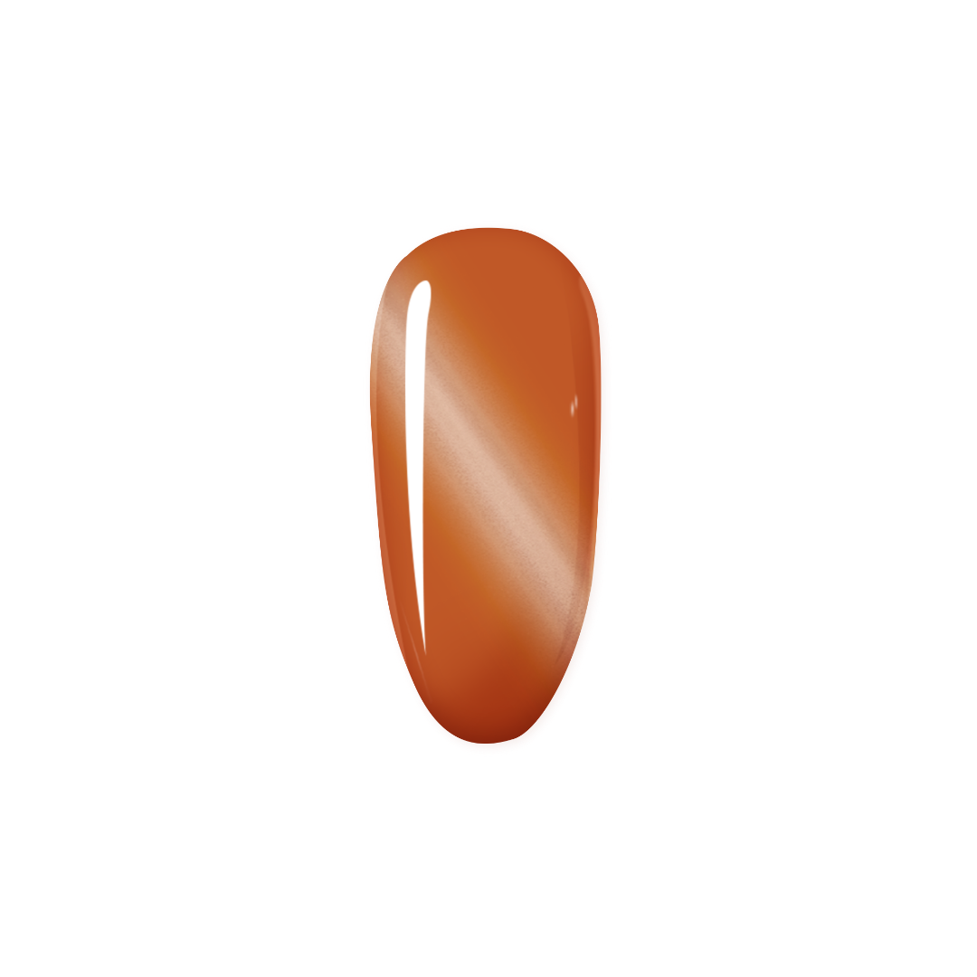 Citrus Dream