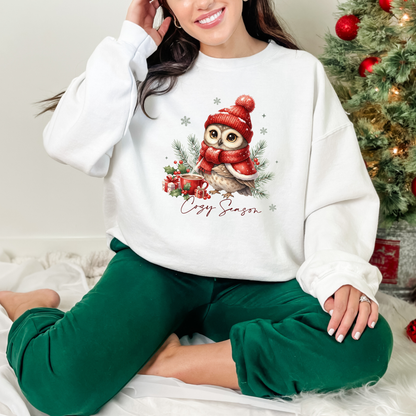 Cozy Owl Sweatshirt