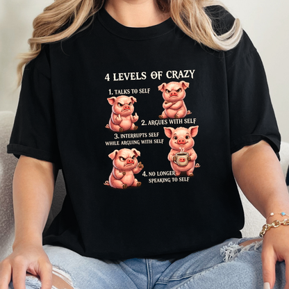 4 Levels of Crazy Graphic Tee
