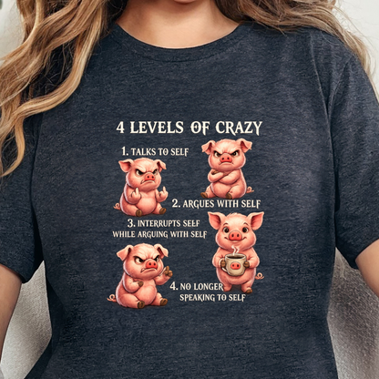 4 Levels of Crazy Graphic Tee