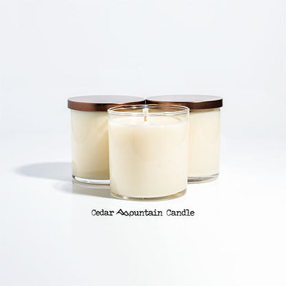 Elf Ninnymuggins 9 oz Jar Soy Candle - Winter Scents