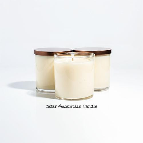 Elf Santa's Coming 9 oz Jar Soy Candle - Winter Scents