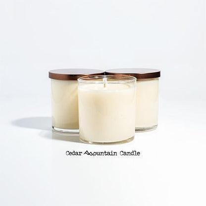 Elf Santa's Coming 9 oz Jar Soy Candle - Winter Scents