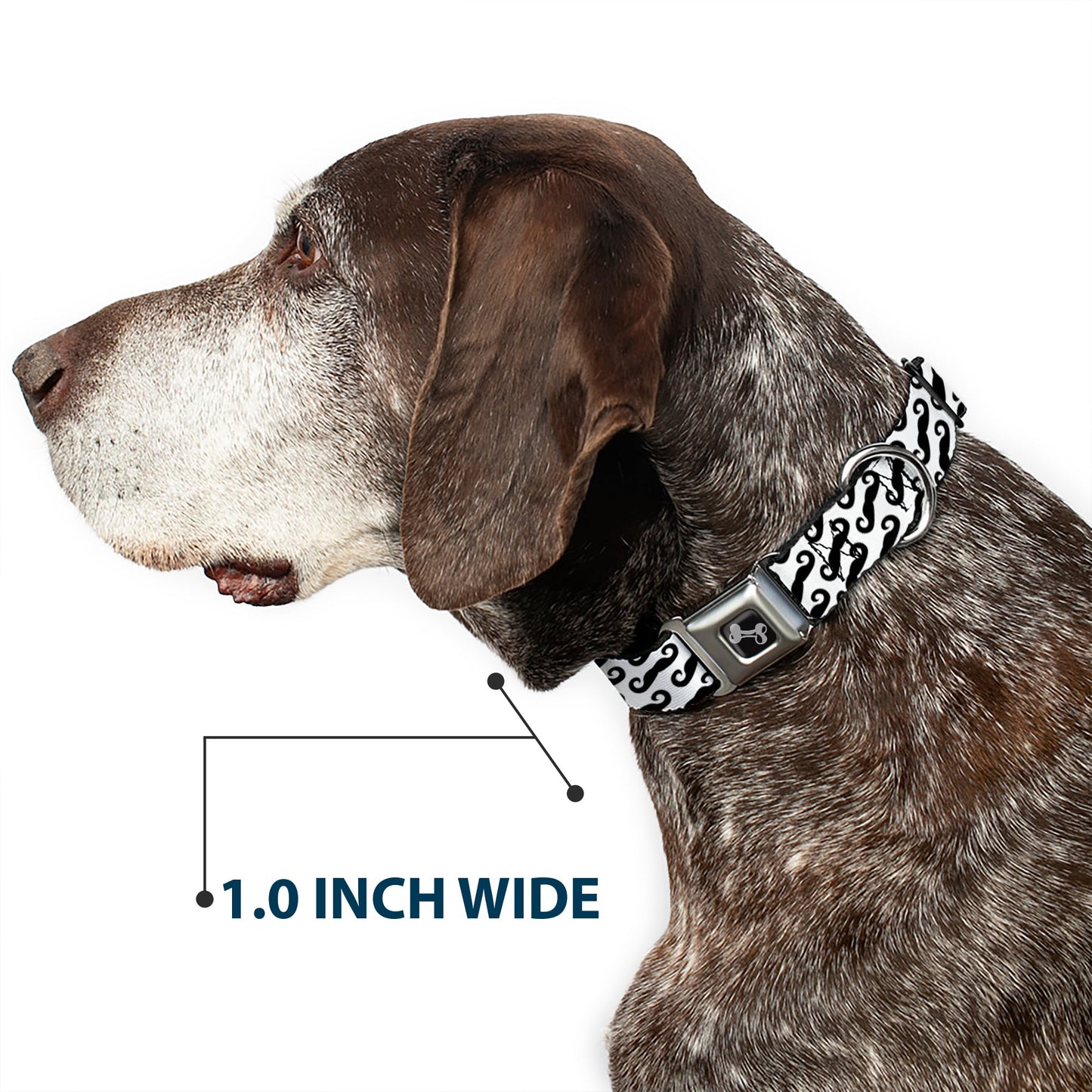 Dog Bone Seatbelt Buckle Collar - Diagonal Handlebar Mustaches White/Black
