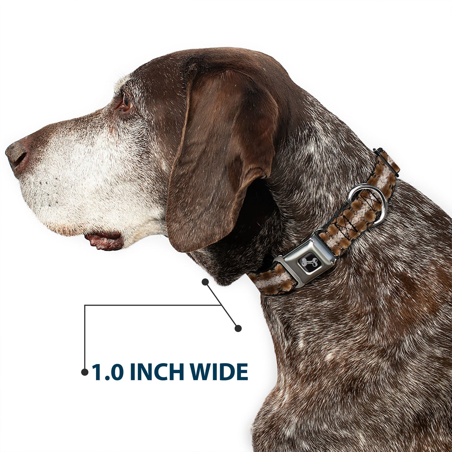 Dog Bone Seatbelt Buckle Collar - Snake Skin 2