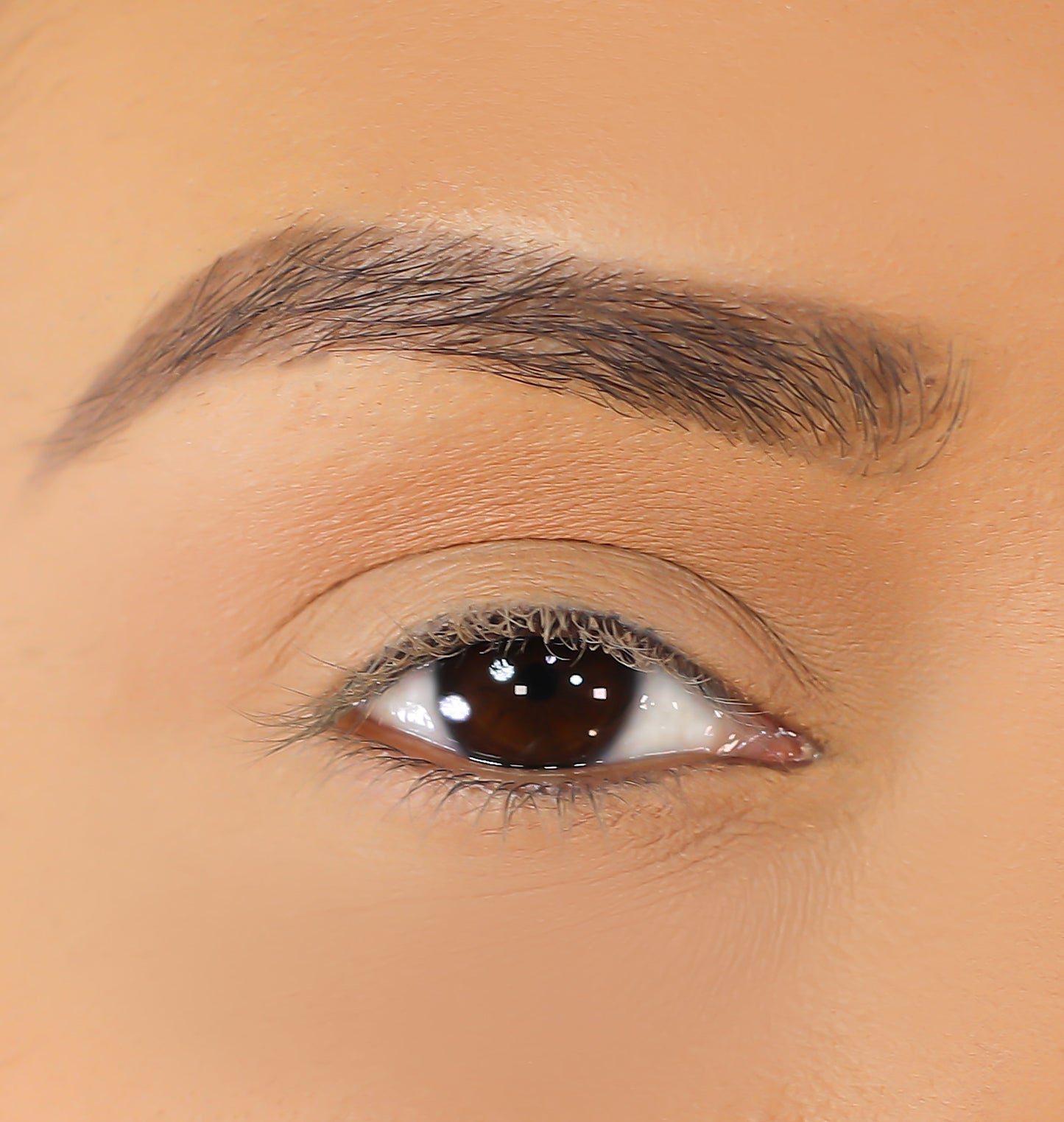 3D Mink Eyelashes - Mila