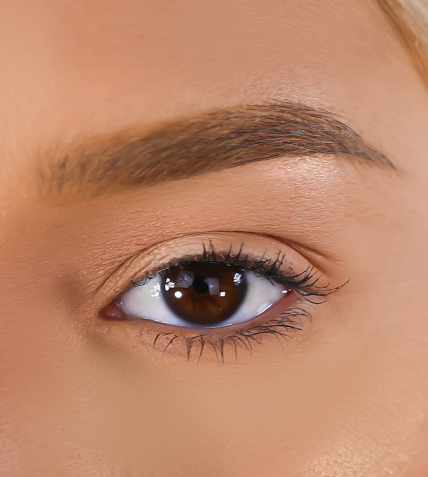 3D Mink Eyelashes - March