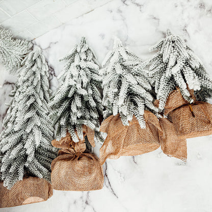 Snow Trees PRE-ORDER