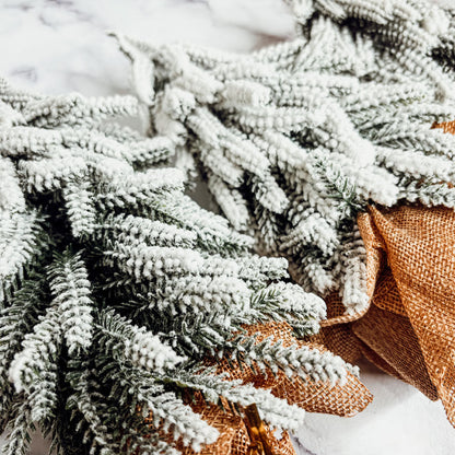 Snow Trees PRE-ORDER