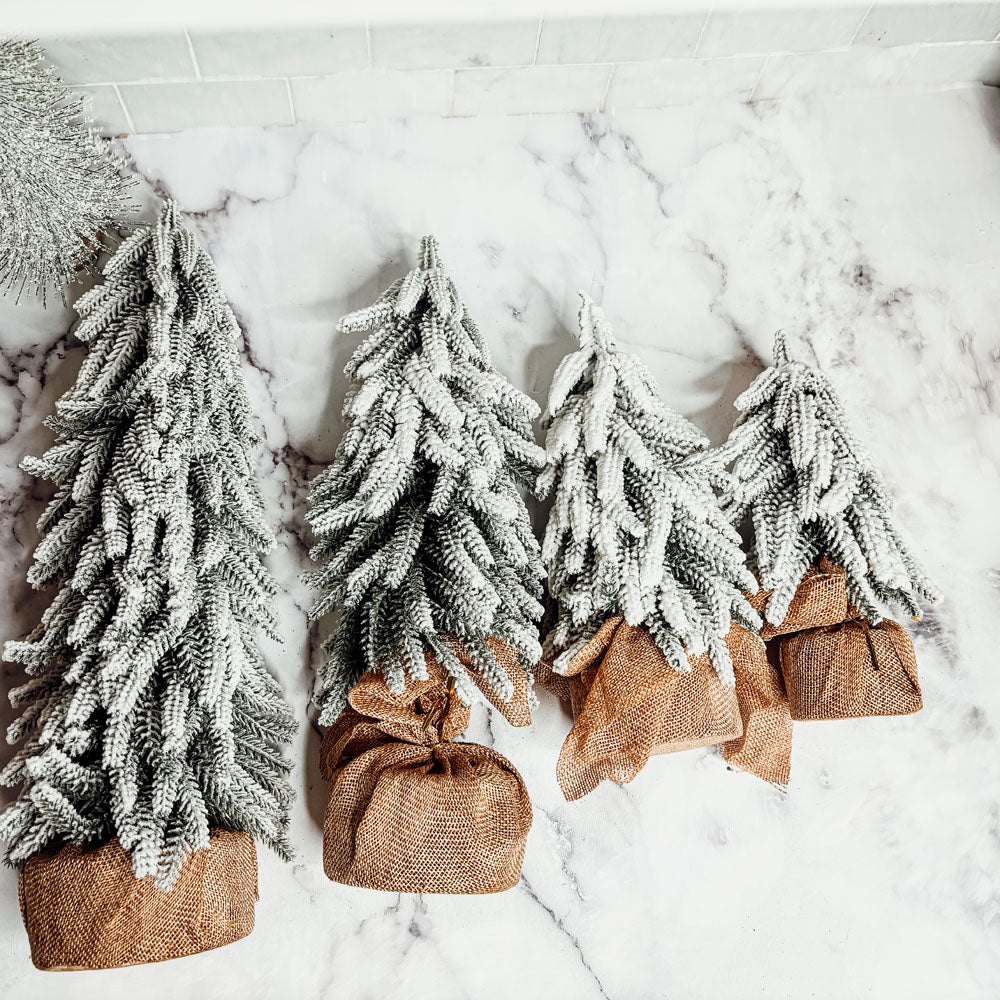 Snow Trees PRE-ORDER