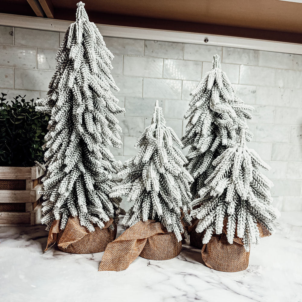 Snow Trees PRE-ORDER