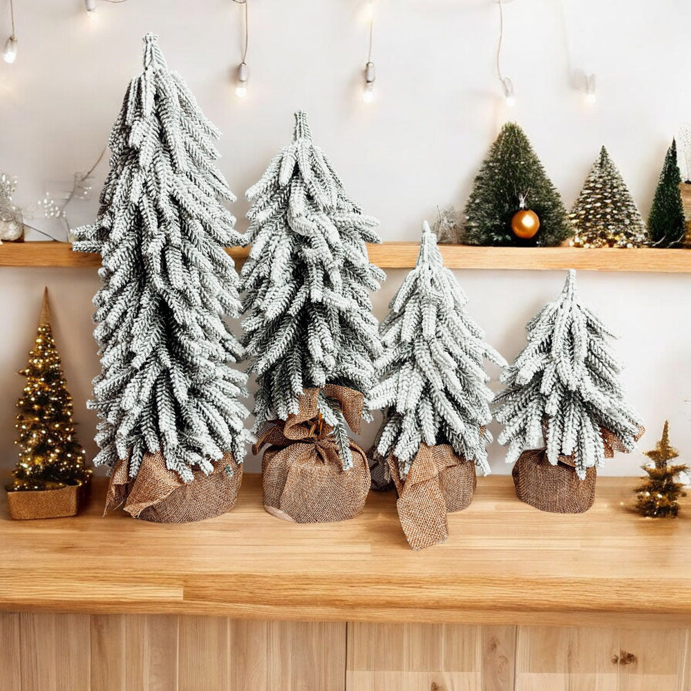Snow Trees PRE-ORDER