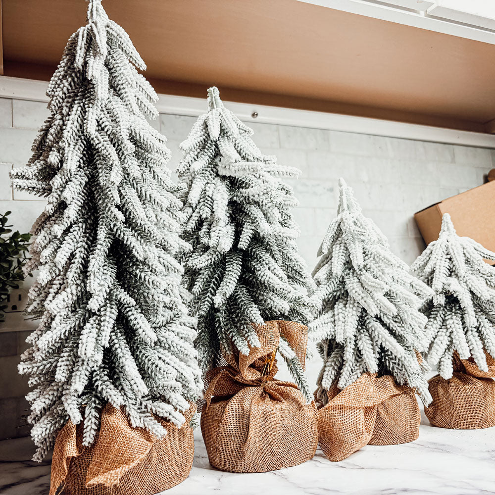 Snow Trees PRE-ORDER