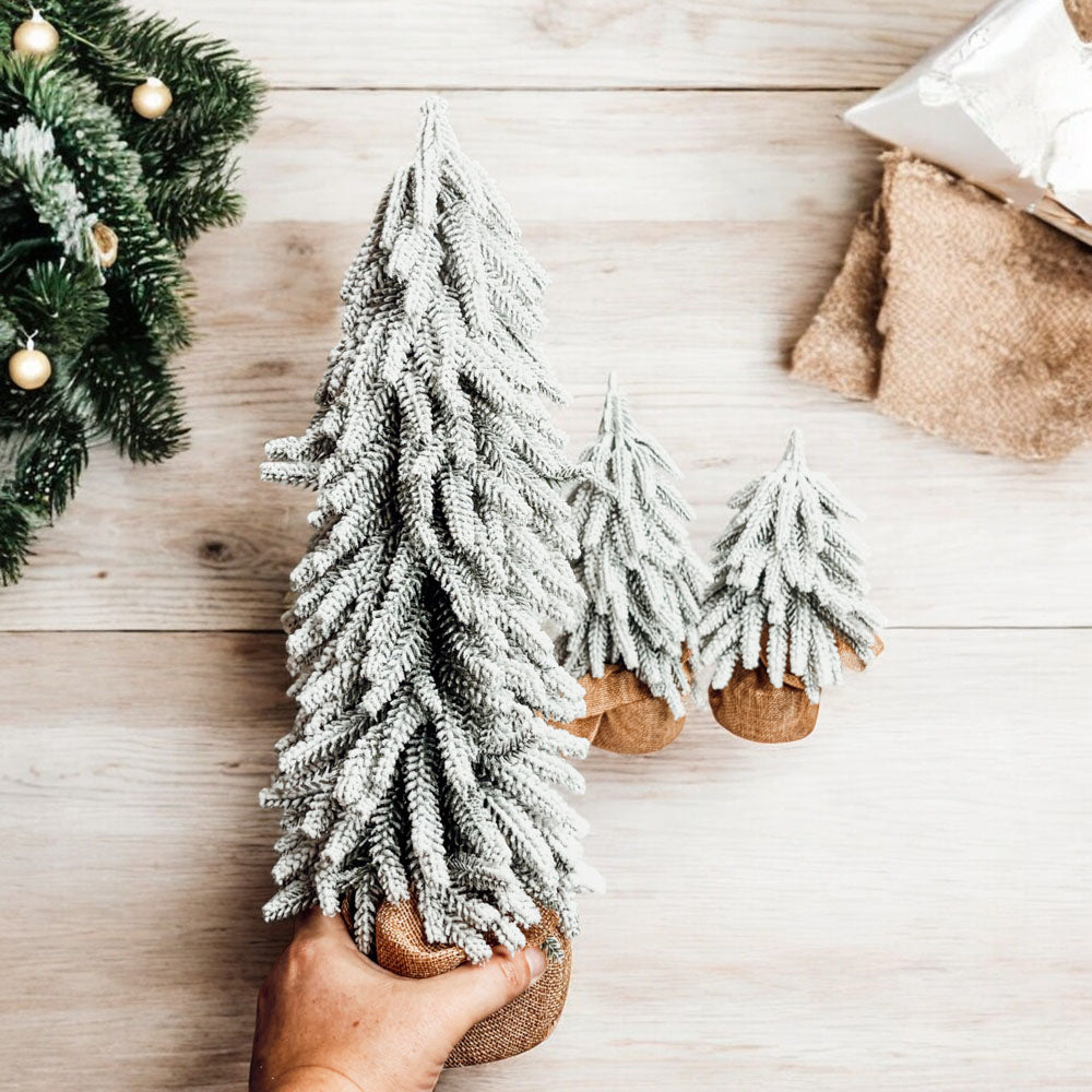 Snow Trees PRE-ORDER