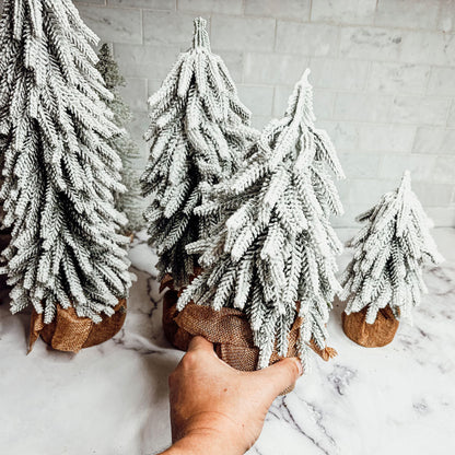 Snow Trees PRE-ORDER