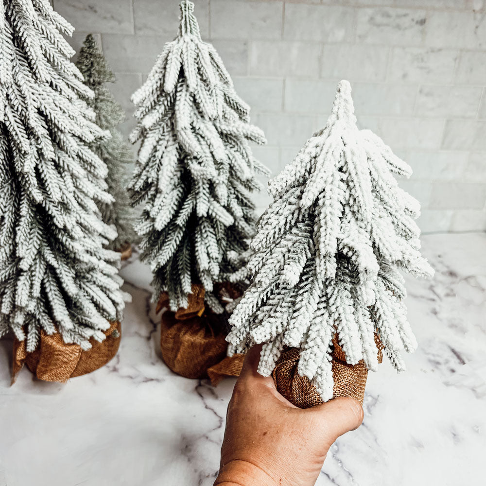 Snow Trees PRE-ORDER