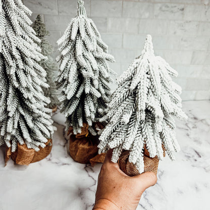 Snow Trees PRE-ORDER
