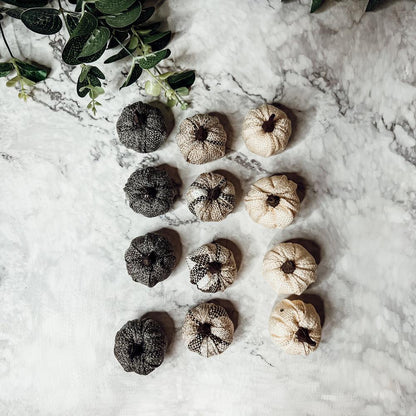 Mini Pumpkins 12pk