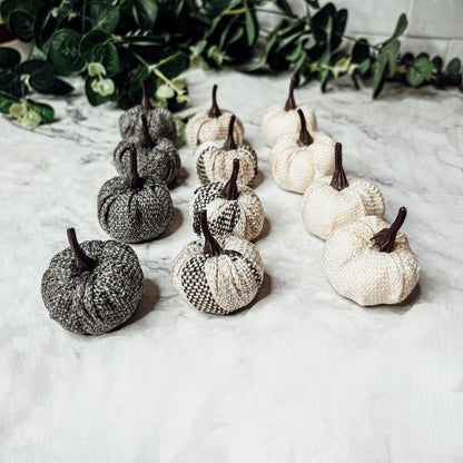 Mini Pumpkins 12pk