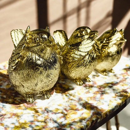 3 Wise Birds