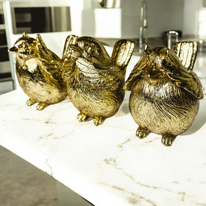 3 Wise Birds