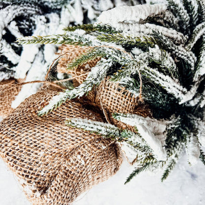 Snow Trees PRE-ORDER