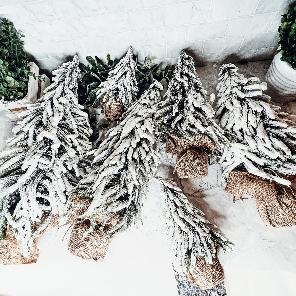Snow Covered Trees OG