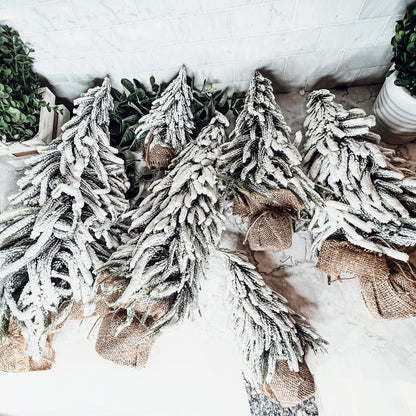 Snow Covered Trees OG