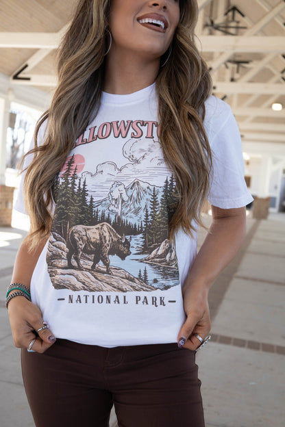Yellowstone Graphic