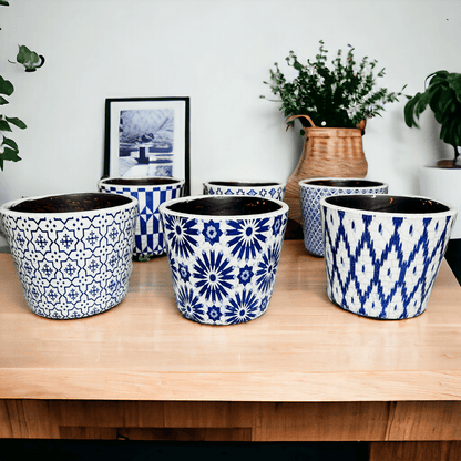 TERRACOTTA POT 5.5"