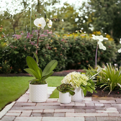 Webbing Planters