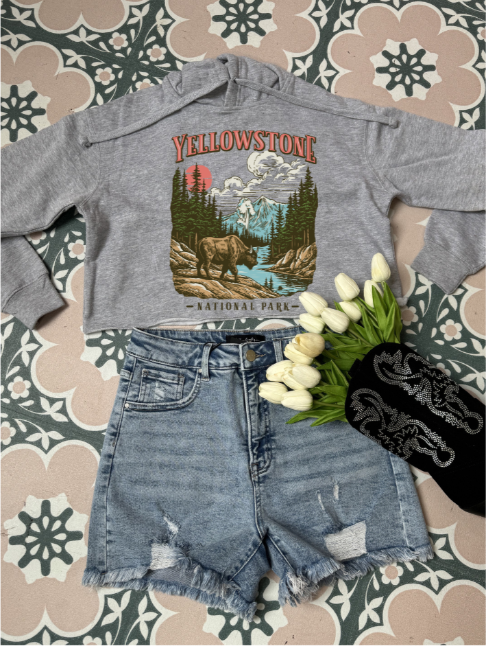 Yellowstone Graphic
