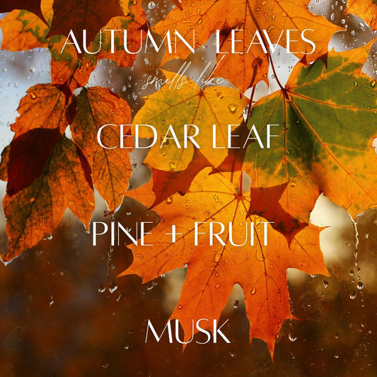 Autumn Leaves - 7 Wick White Wood Dough Bowl Soy Candle