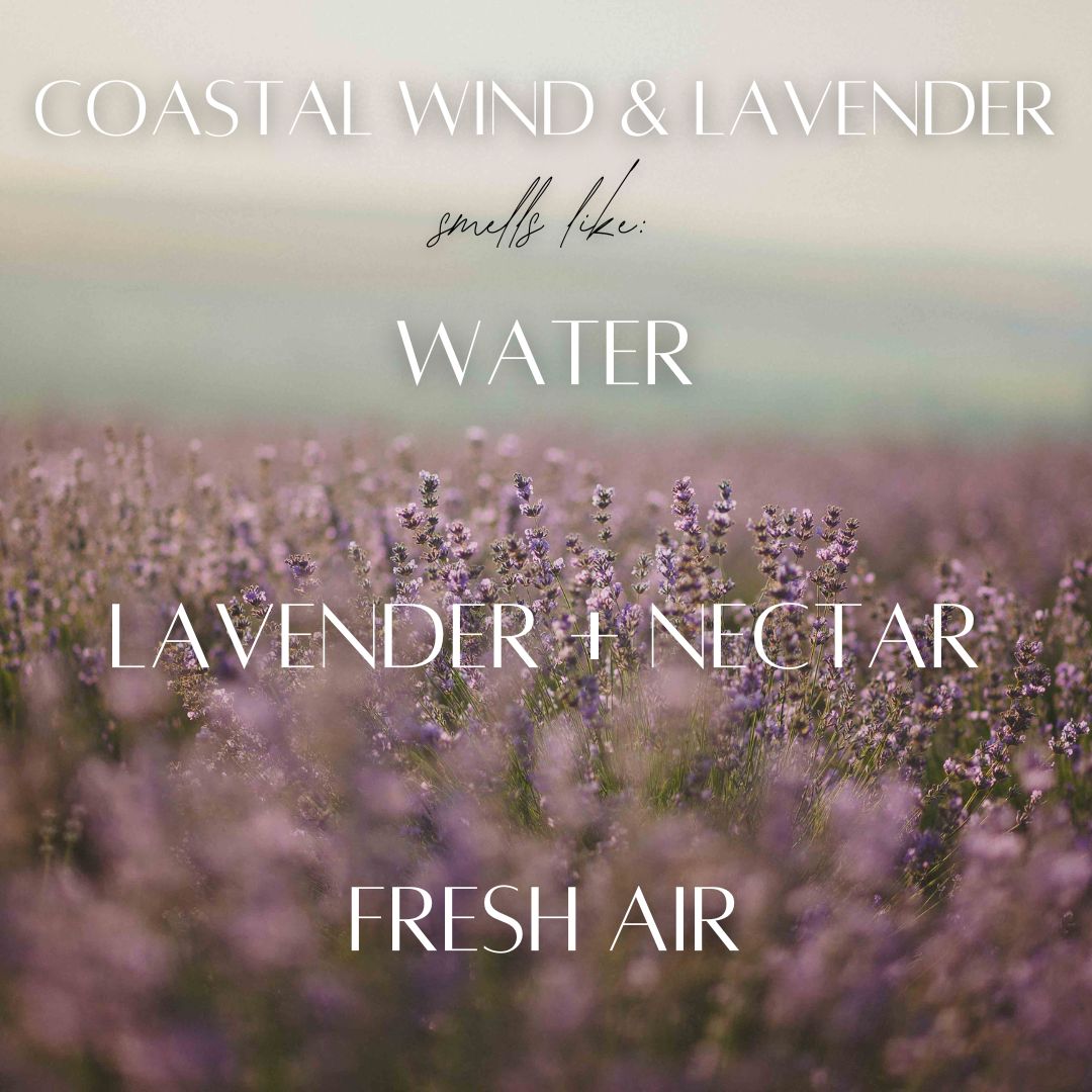 Coastal Wind & Lavender - 5.5 oz Wax Melts