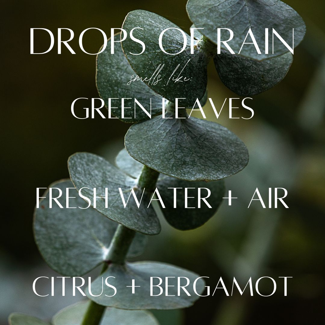 Drops of Rain - 5.5 oz Wax Melts
