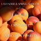Lavender Spring Apricot - 9 oz Whiskey Glass Candle