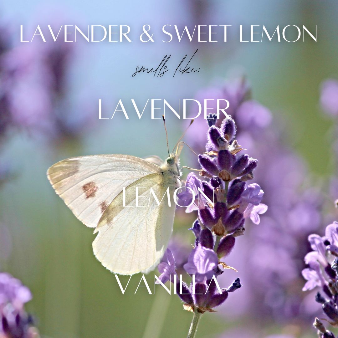 Lavender & Sweet Lemon - 7 Wick White Wood Dough Bowl Soy Candle