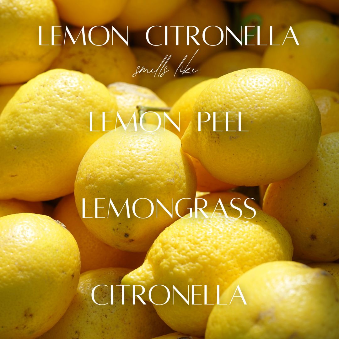 Lemon Citronella - 9 oz Whiskey Glass Candle