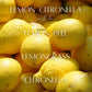 Lemon Citronella - 9 oz Whiskey Glass Candle