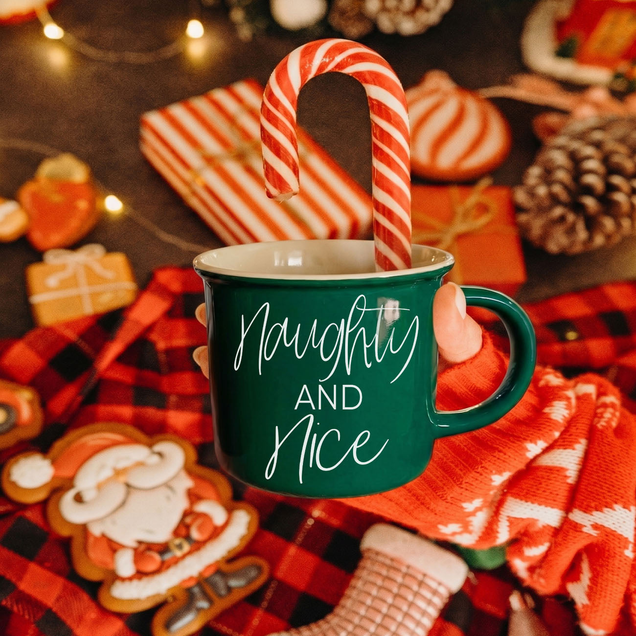 Naughty & Nice Mug