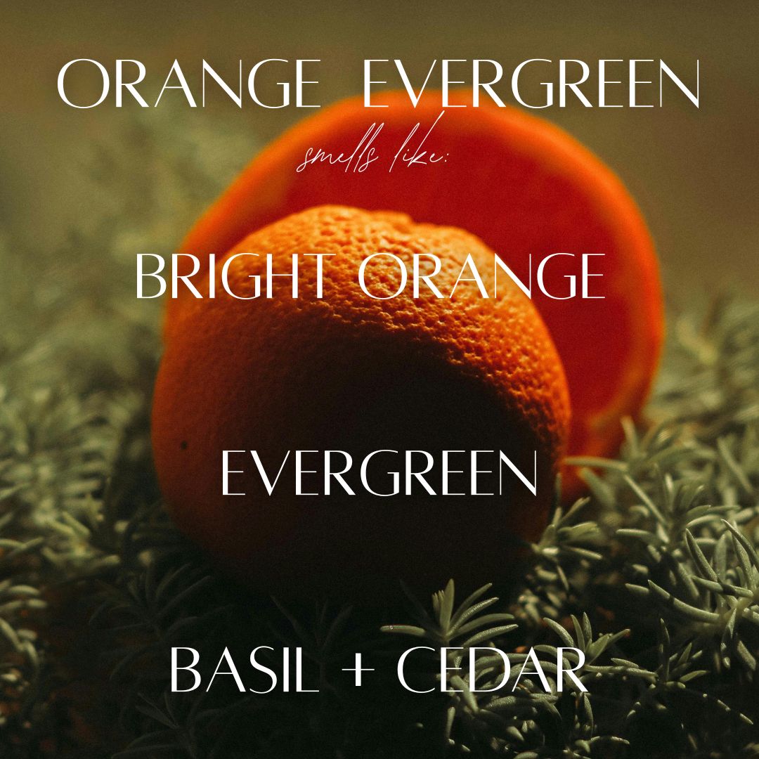 Orange Evergreen - 7 Wick White Wood Dough Bowl Candle