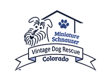 SUPER CLEARANCE  Schnauzer Mom Fundraiser Keychain