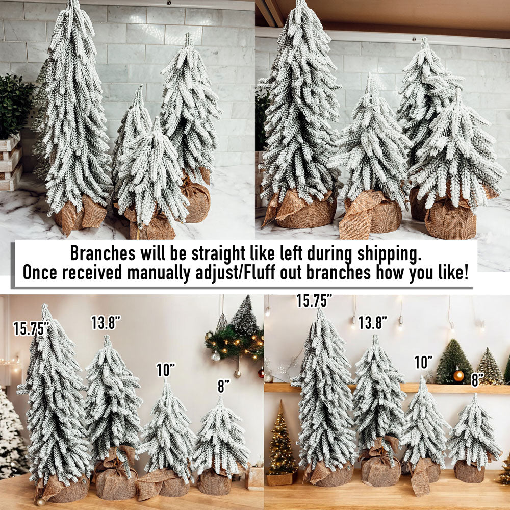 Snow Trees PRE-ORDER