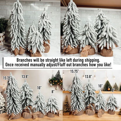 Snow Trees PRE-ORDER